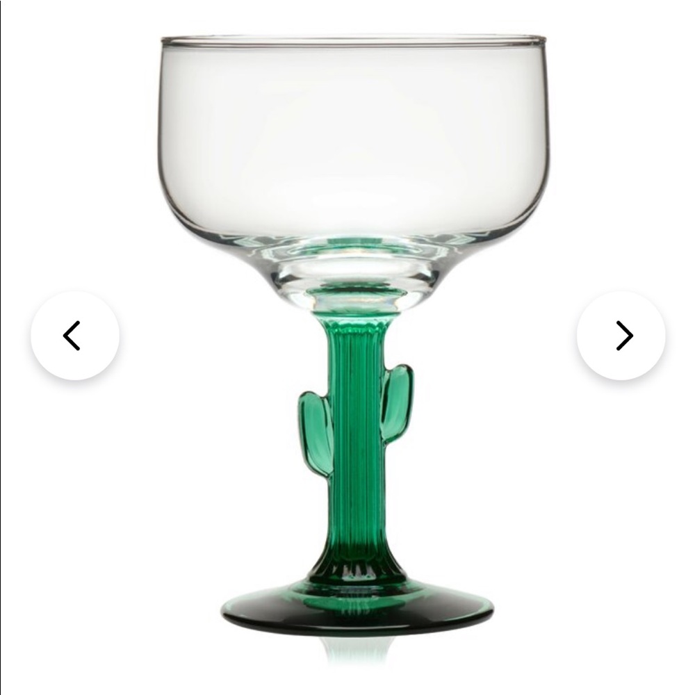 Set of 4 Cactus Margarita glasses